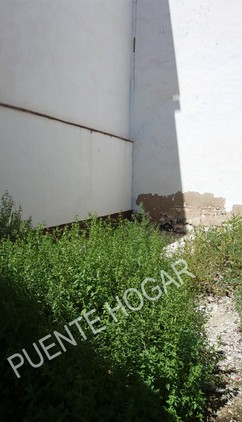 V18018-04-PUENTEHOGAR.jpg